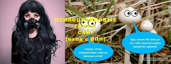 экстази Богородск